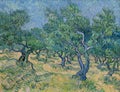 Olive grove by famous Dutch painter Vincent Van Gogh Royalty Free Stock Photo